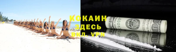 твердый Верея