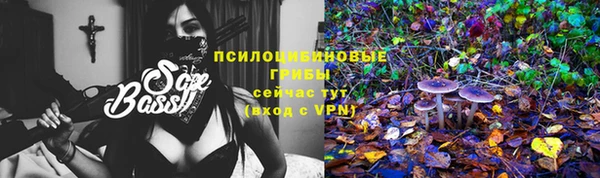 ECSTASY Володарск
