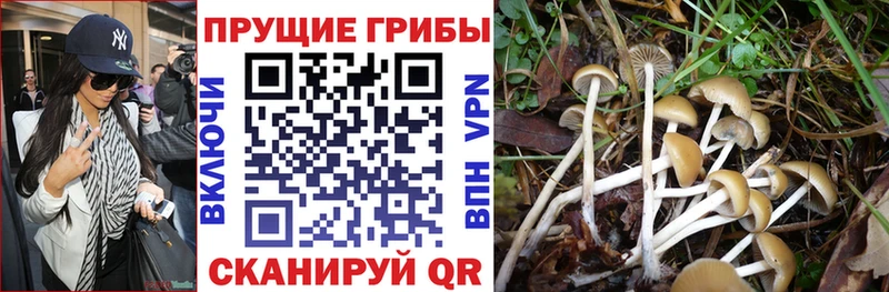Псилоцибиновые грибы GOLDEN TEACHER  mega ссылка  Зуевка 